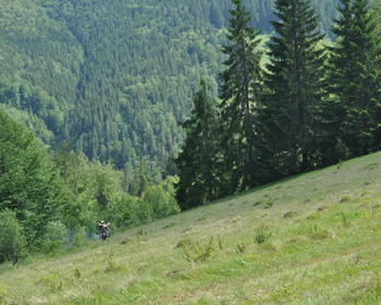 DSC_0244.JPG
