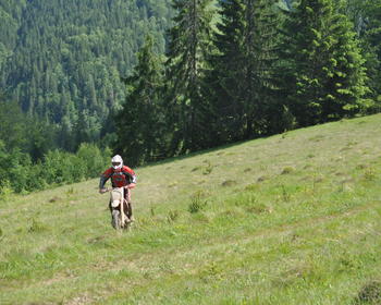 DSC_0239.JPG
