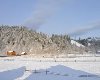 DSC_0005.JPG