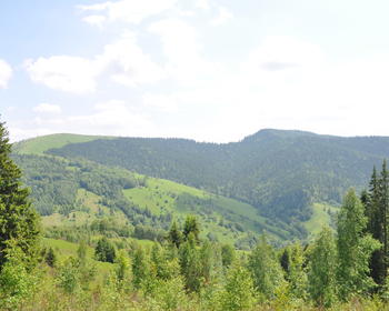 DSC_0185.JPG