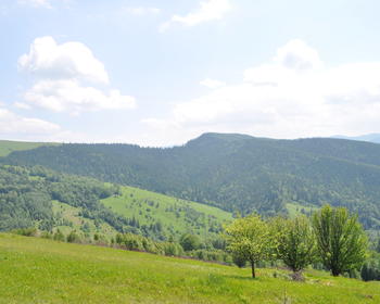 DSC_0190.JPG