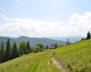 DSC_0194.JPG