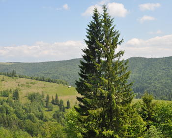 DSC_0196.JPG