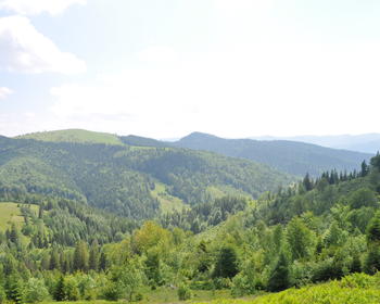 DSC_0208.JPG