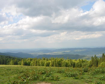 DSC_0277.JPG