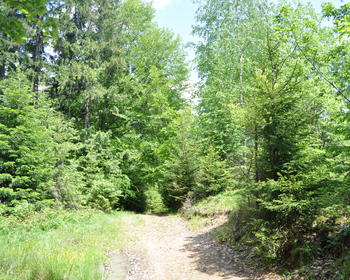 DSC_0212.JPG