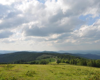 DSC_0280.JPG