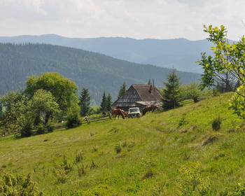 DSC_0223.JPG