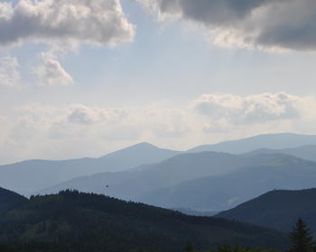 DSC_0313.JPG