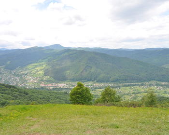 DSC_0321.JPG